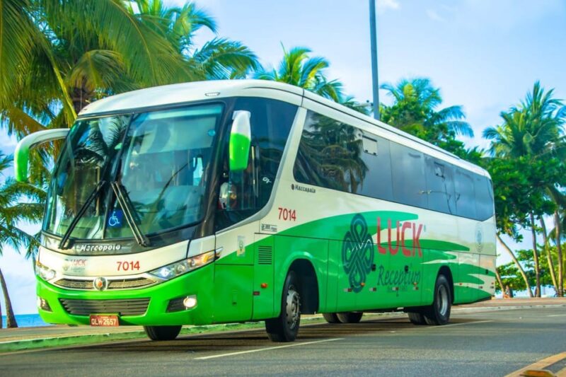One Way Shared Transfer From Maceio to Maragogi - Accessibility