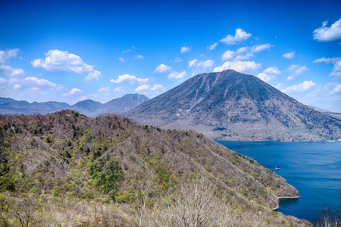 One Way Shuttle Van Transfer, Tokyo to Nikko - Accessibility and Accommodations