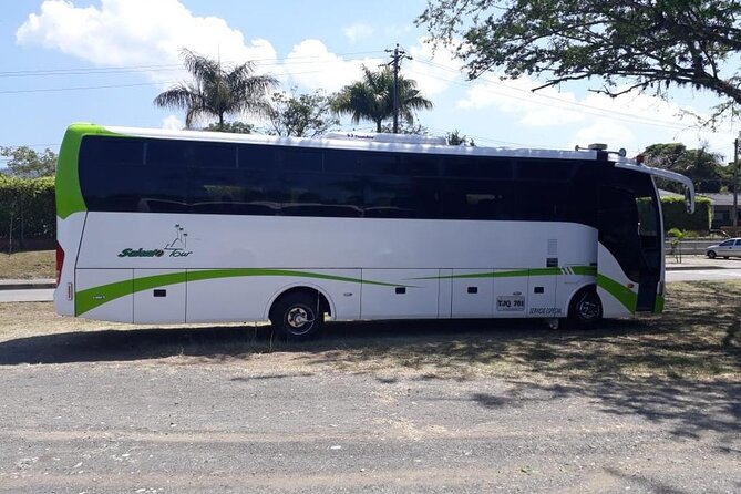 One Way Transfer From Pereira to Salento And/Or Salento to Pereira - Vehicle and Amenities
