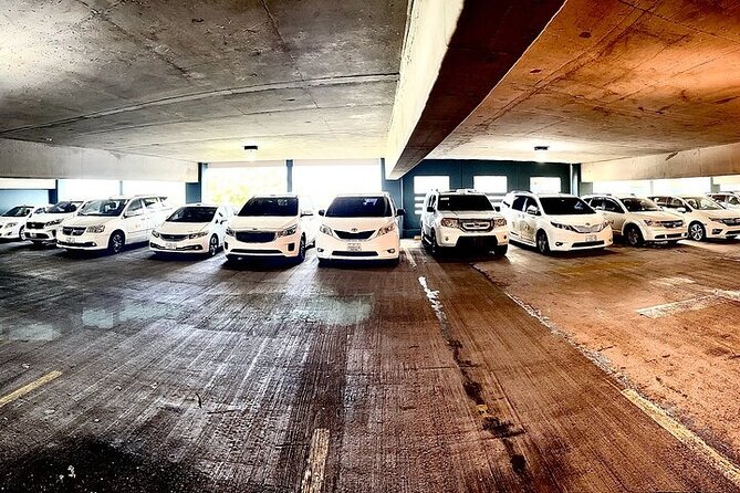 One-Way Transfer From SJU Airport to Cruise Port or Vice Versa - Customer Ratings and Feedback