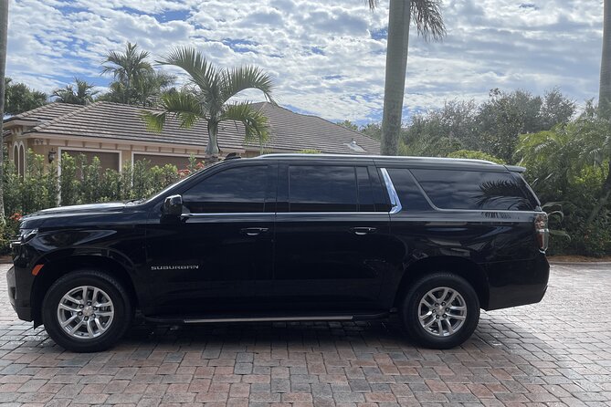 One-Way Transfer From the Airport to the Cruise Port - Passenger Accommodations