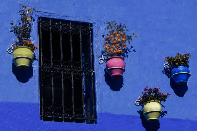 One Way Trip From Fes to Tangier via Chefchaouen - Logistics and Accessibility