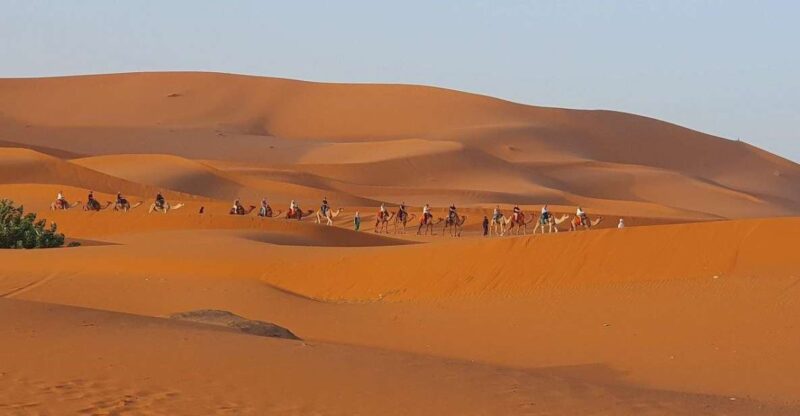 One Way Trip From Fez to Merzouga (Only Transportation ) - Key Points