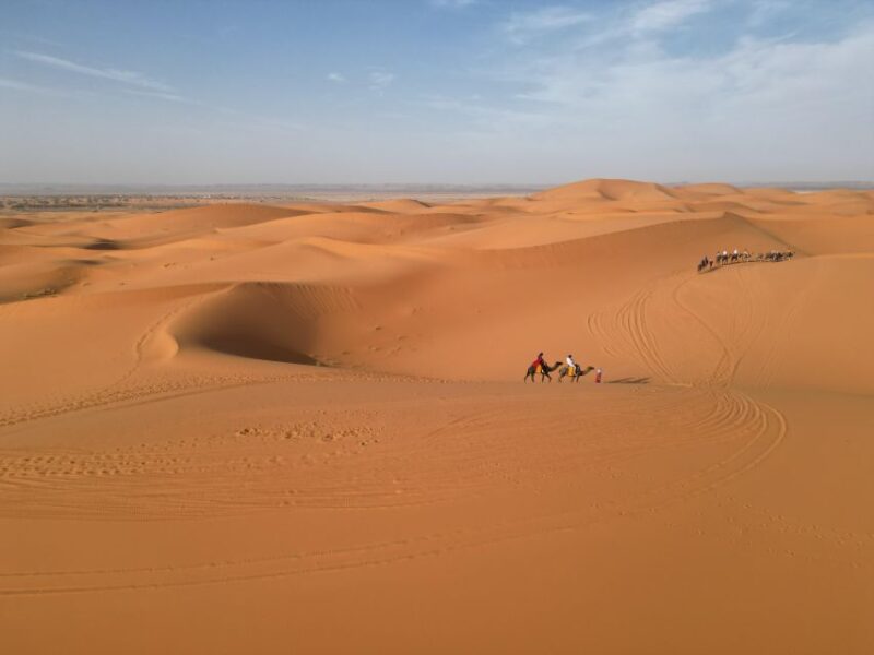 One Way Trip From Fez to Merzouga (Only Transportation ) - Booking and Cancellation