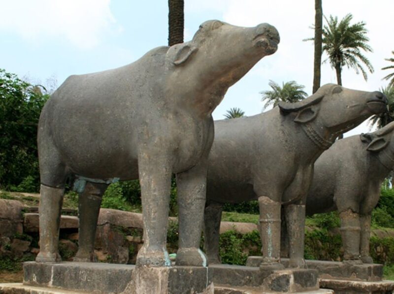 One Way Udaipur To Mount Abu Transfer - Pickup and Drop-off Details