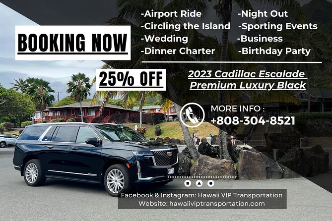 One-Way VIP Transfer: Honolulu Airport to Waikiki, Or Vice Versa - Convenient Airport and Waikiki Access