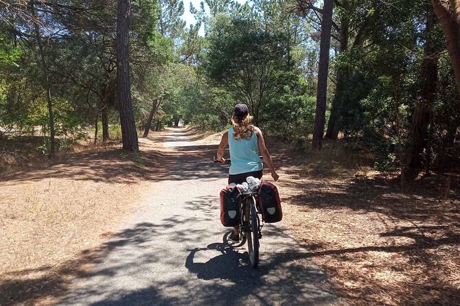 One-Week MTB Tour From Porto to Óbidos. - Meeting Point and End Point