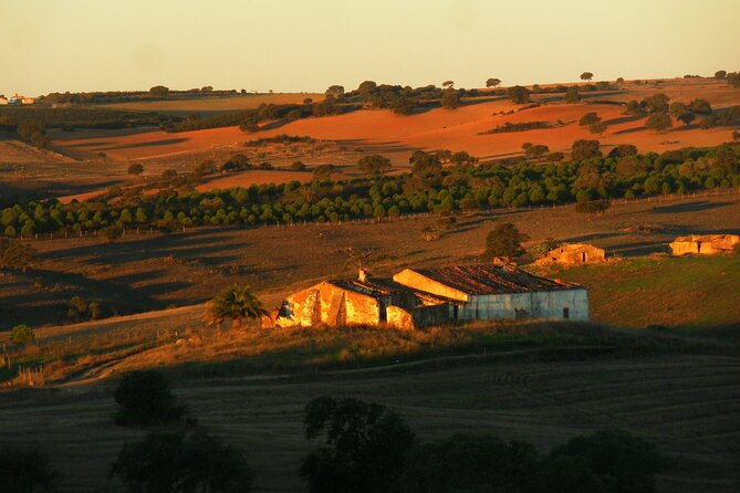 One-Week MTB Tour From Porto to Óbidos. - Tour Operation Schedule