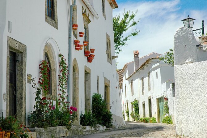 One-Week MTB Tour From Porto to Óbidos. - Pricing and Cancellation Policy