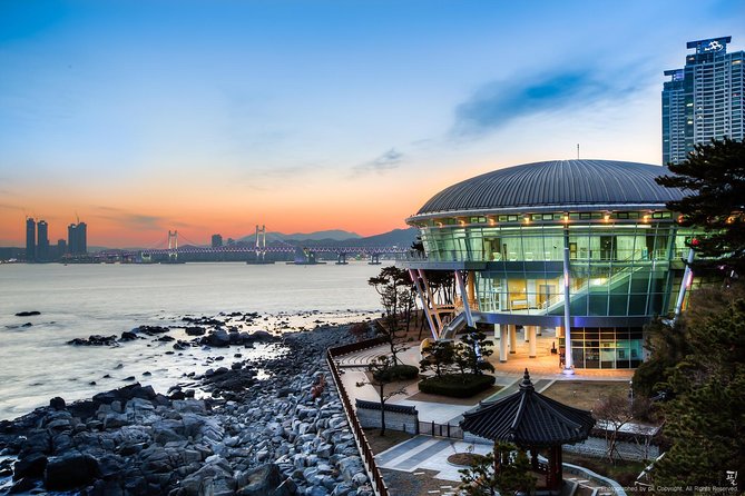 Oneday Busan Tour for Cruises Passengers - Accessibility