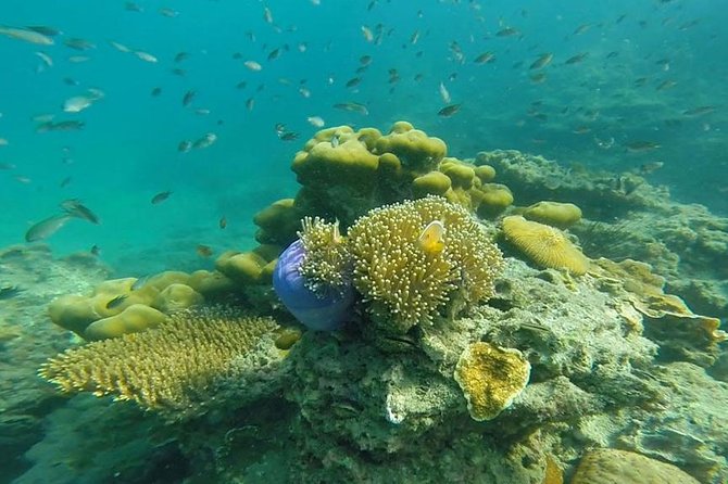 Oneday Tour 4 Islands and Emerald Cave by Tin Adventure Sea Tour From Koh Lanta - Included Experiences