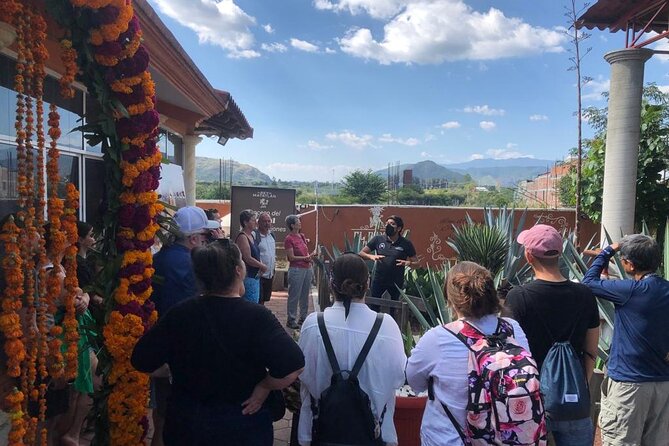Only Hierve El Agua and Mezcal Distillery Tour - Recommendations for Visitors