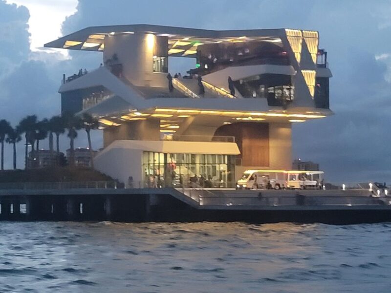 ONLY Minivan Tour in Tampa Bay Area You Will Never Forget! - Travel in Style