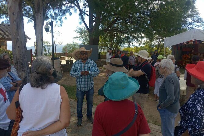 Only Monte Albán Tour - Final Thoughts