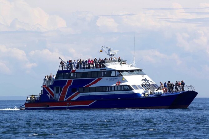 Only Wildlife and Whale Watching Tour Leaving From Seattle - Accessibility and Special Accommodations