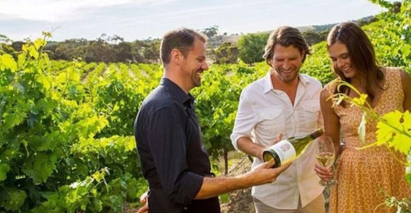 Ontario: Afternoon Wine Tour and Cheese Pairing - Highlights of the Experience