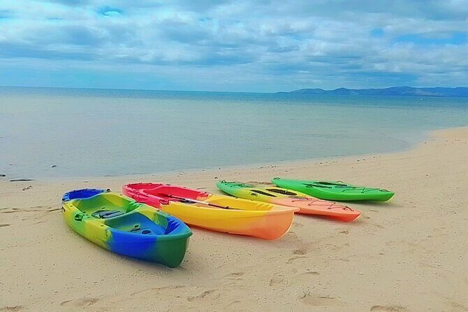Oolala Cruises on Savala Island - What to Expect on the Water and on the Island