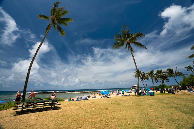 Opaekaa Falls, Spouting Horn, Poipu Beach - Traveler Feedback and Praise