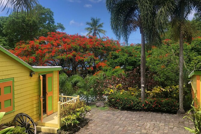 Open Air Reggae Tour - Reggae Vibes and Island Charm
