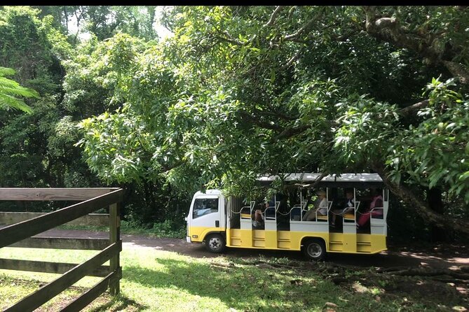 Open Air Reggae Tour - Booking and Practical Information