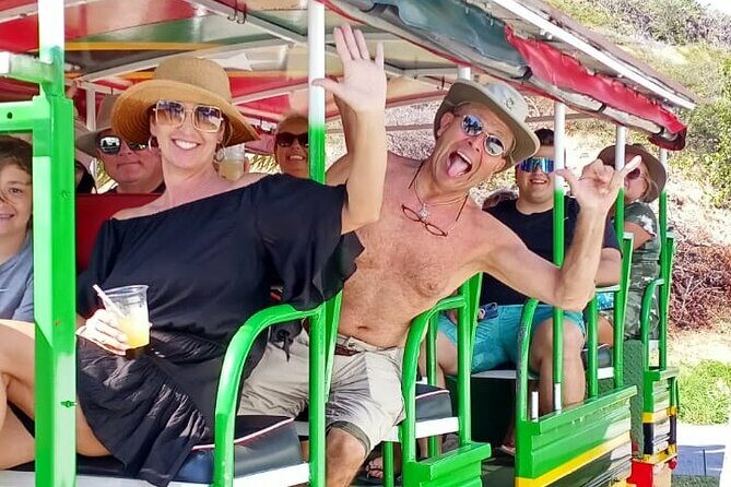 Open Air St. Kitts Tour with Island Vibes - The Sum Up: Who Will Enjoy This Tour?
