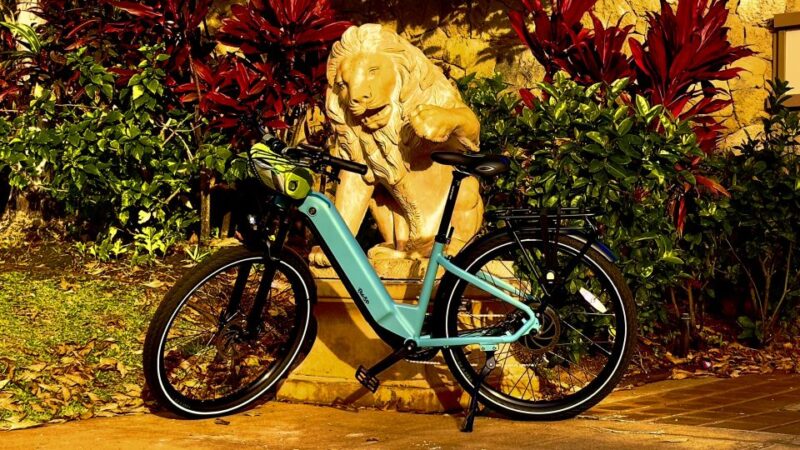 Open House Real Estate Bike Tour - Tour Experience