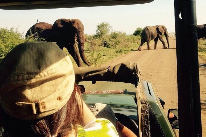 Open Vehical Safari in Kruger National Park Half Day - Wildlife Sightings