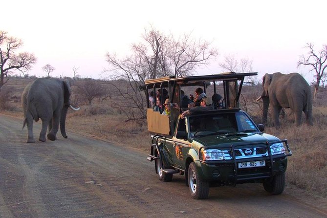 Open Vehical Safari in Kruger National Park Half Day - Cancellation Policy