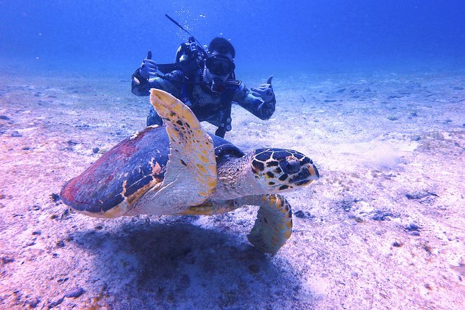 Open Water Certification Course-PADI - Booking Information