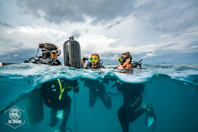 Open Water Course Cozumel - Marine Conservation Focus