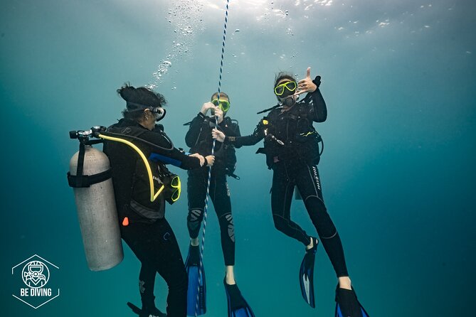 Open Water Course Cozumel - Private Tour Details