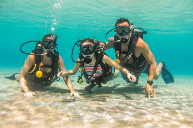 Open Water Course Cozumel - Included Amenities