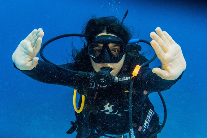 Open Water Course Cozumel - Meeting & Redemption Info