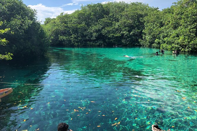 Open Water Course in Cenote & Ocean + 1 Cenote Dive From Playa Del Carmen - Meeting Point and Transportation