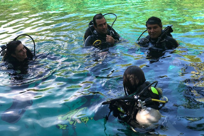 Open Water Course in Cenote & Ocean + 1 Cenote Dive From Playa Del Carmen - Diving in Cenotes
