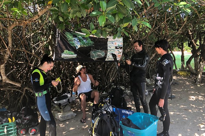 Open Water Course in Cenote & Ocean + 1 Cenote Dive From Playa Del Carmen - Diving in the Ocean