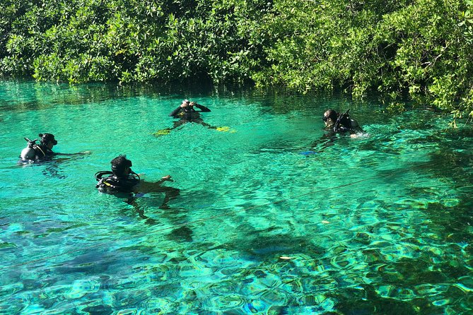 Open Water Course in Cenote & Ocean + 1 Cenote Dive From Playa Del Carmen - Reviews and Ratings