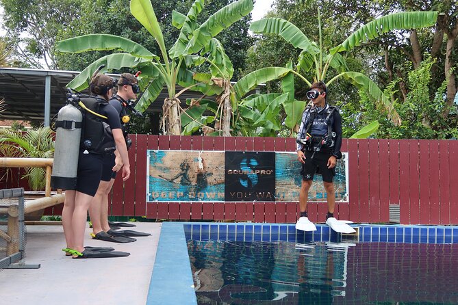Open Water Course in Koh Samui - Pickup and Start Time