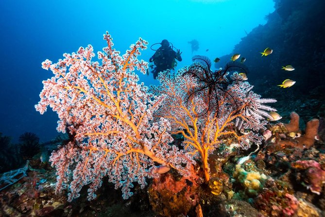 Open Water Course in Tulamben - Get Certified in Bali - Schedule