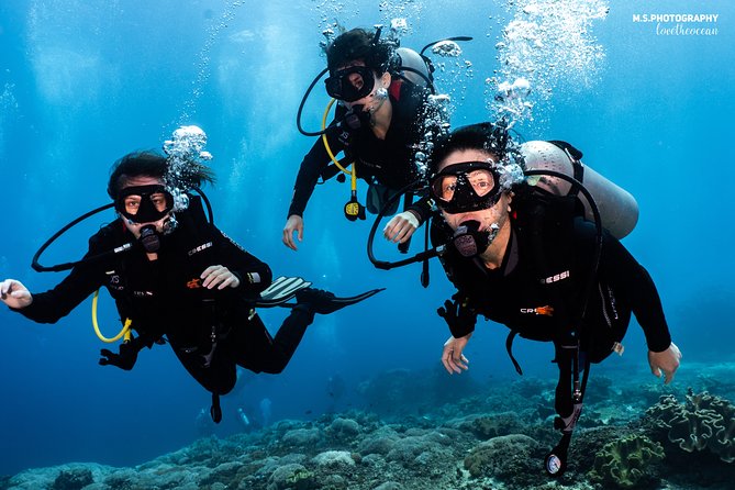 Open Water Course in Tulamben - Get Certified in Bali - Certification and Next Steps