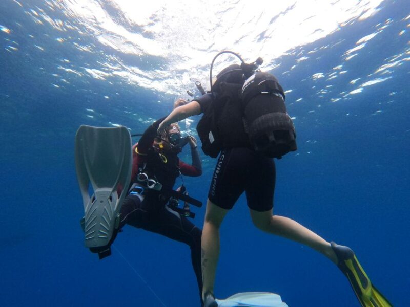 Open Water Diver 1st Level Course in Villasimius - Certification Details