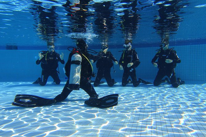 Open Water Diver 2-Day PADI Course in Playa Del Carmen - Course Ratings and Reviews