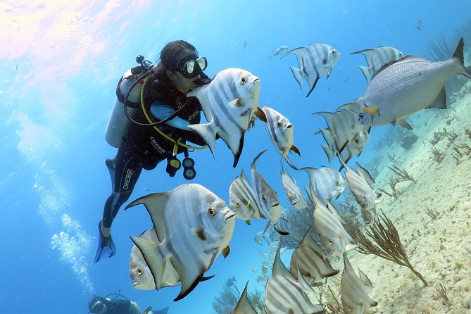 Open Water Diver 2-Day PADI Course in Playa Del Carmen - Scuba Diving Equipment Provided