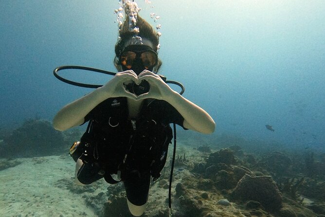 Open Water Diver Course - Meeting Information
