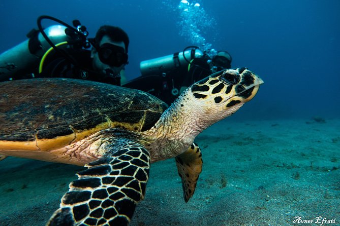 Open Water Diver Course [5 Days/18m] and Advanced Open Water Diver [2 Days/30m] - Depth and Duration