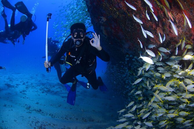 Open Water Diver Course in Arrabida Natural Park (Near Lisbon) - Location and Meeting Point
