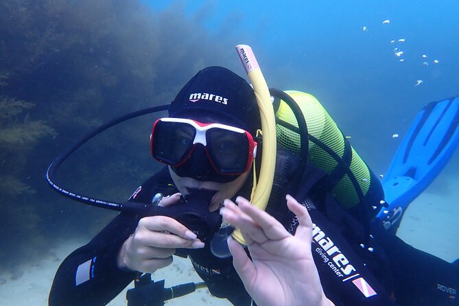 Open Water Diver Course in Arrabida Natural Park (Near Lisbon) - Schedule and Accessibility