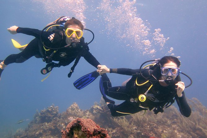 Open Water Diver Course (Padi) - Equipment Provided