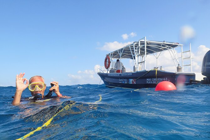 Open Water Diver Course (Padi) - Ratings and Reviews