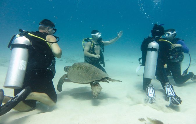 Open Water Scuba Certification - Meeting and Pickup Details
